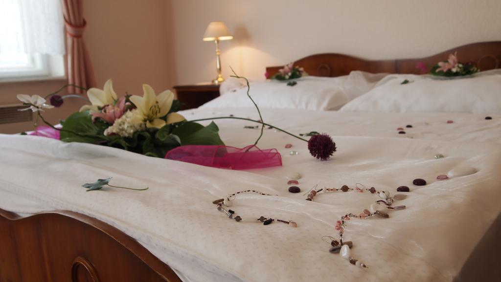 Pension Habermannova Vila Bludov  Rum bild